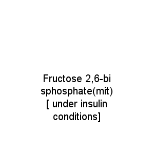 Fructose 2,6-bisphosphate(mit) [ under insulin conditions]